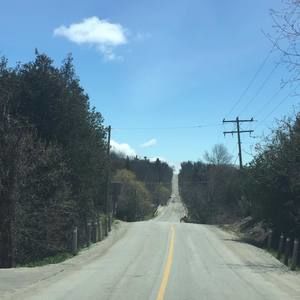 Meet your Posher, Luis